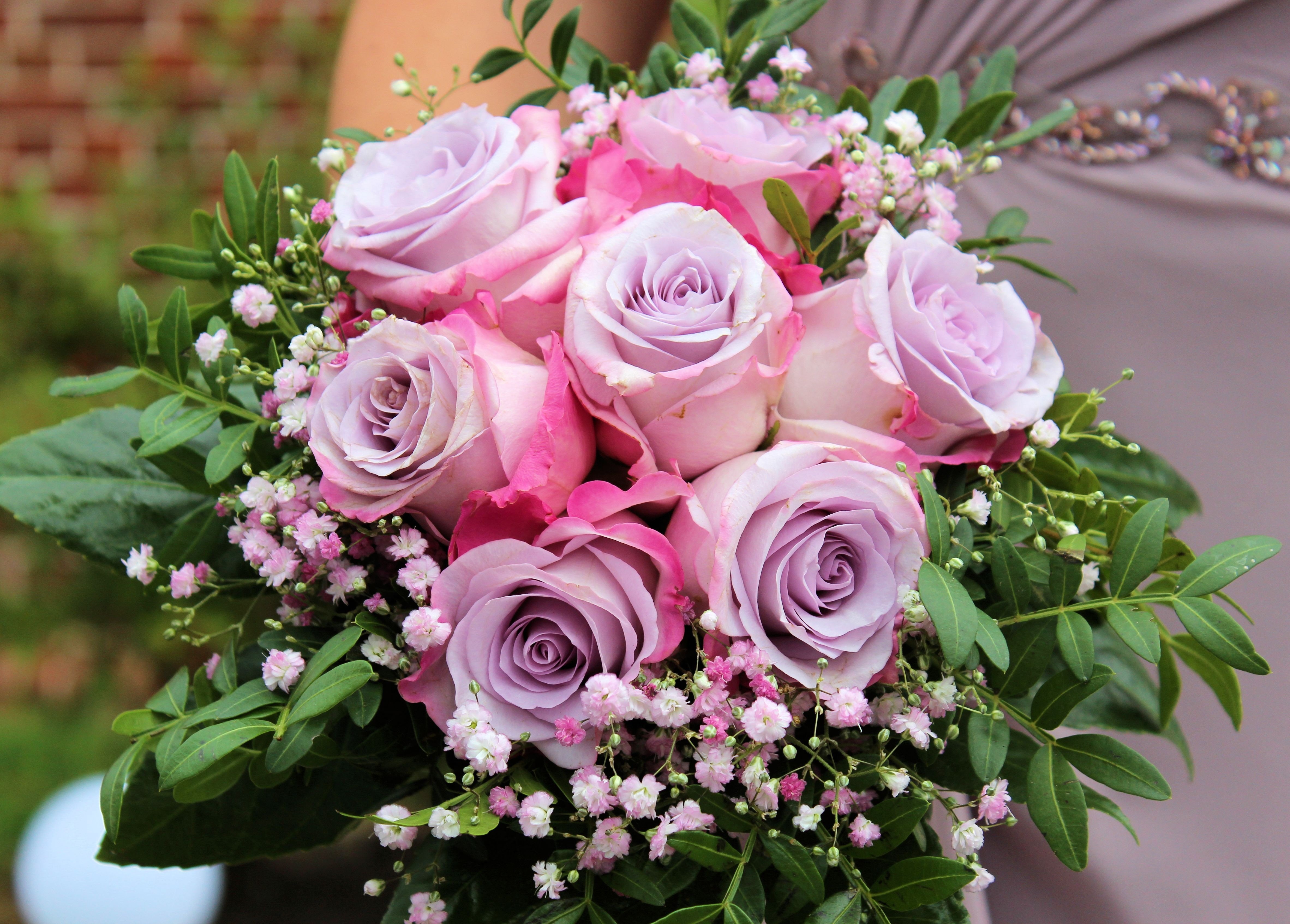 Замечательные розы. Красивый букет. Букет шикарный. Роскошные цветы. Букет розовых роз.
