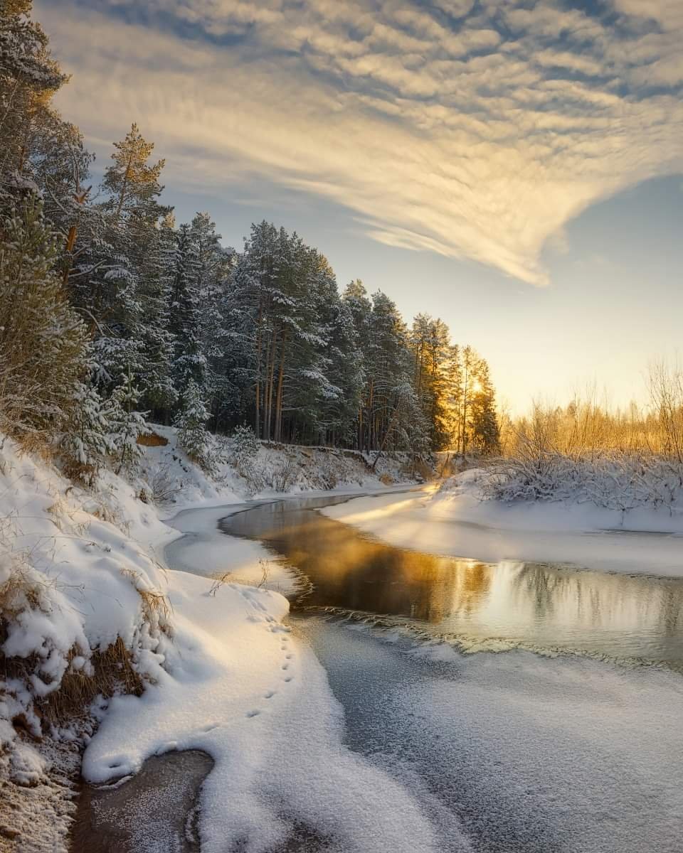 Природа красивая зима