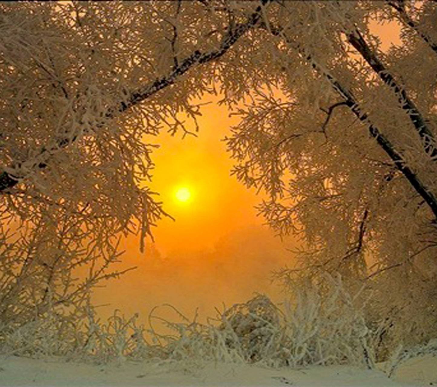 В морозные дни солнце восходит в тяжелом. Солнце зимой. Морозное солнечное утро. Солнце в морозный день. Солнечный зимний день.