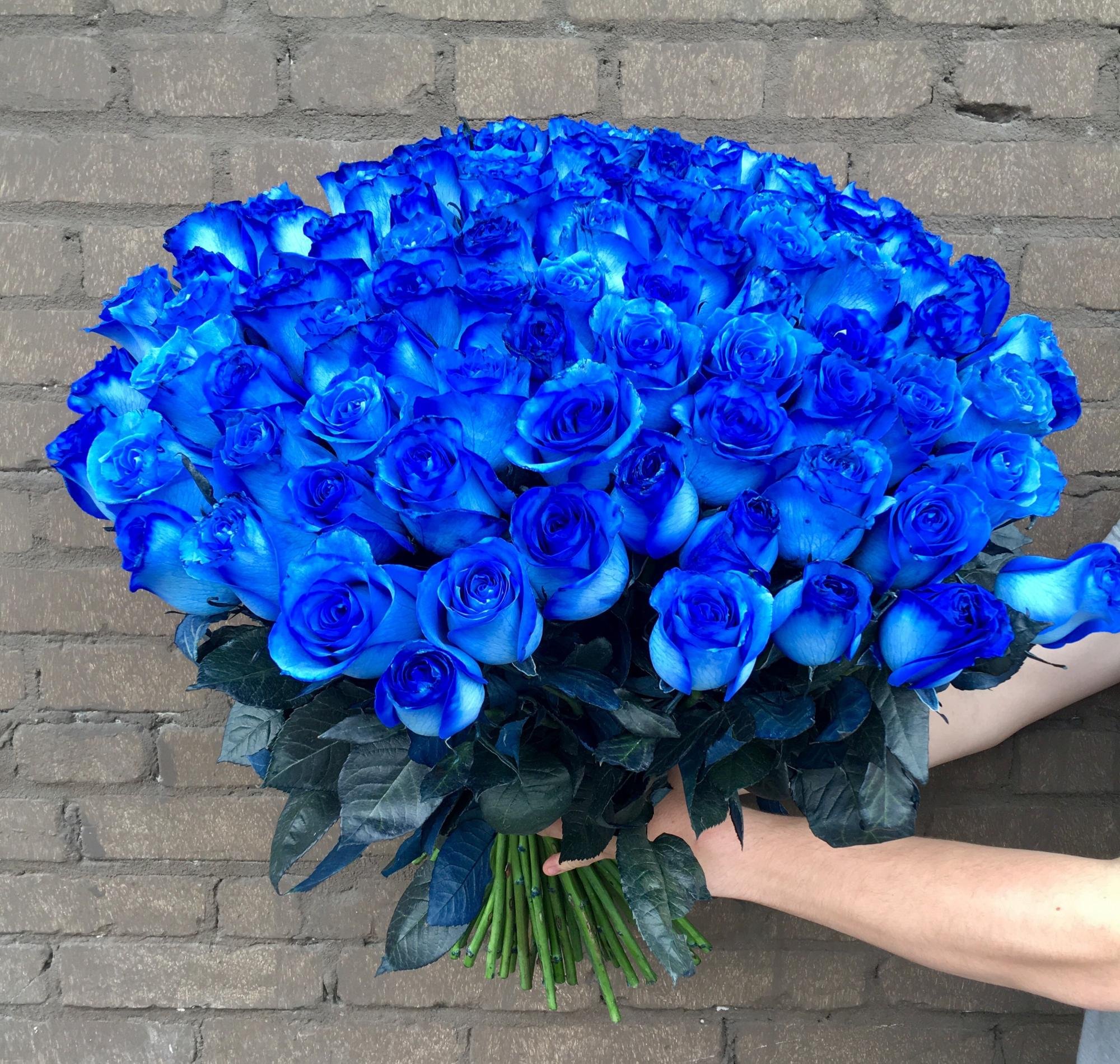 Сонник подарили букет. Эквадорские синие розы. Голубые розы Сантори. Синие кустовые розы.
