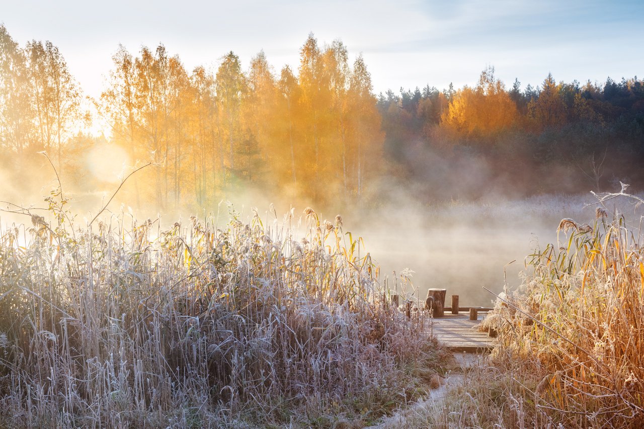 Картинки с добрым утром поздняя осень. Морозное осеннее утро. Морозное утро осень. Первые заморозки. Осень раннее утро.