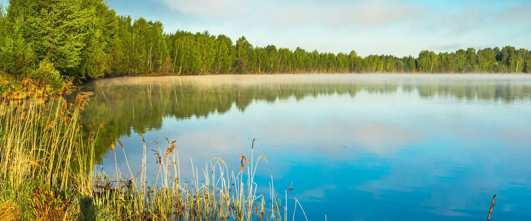 Озеро здесь шире. Озеро Манец. Озеро солнечное Щелковский район. Озеро в Солнечном Ленинградской области. Озеро Волоярви Ленинградская область.