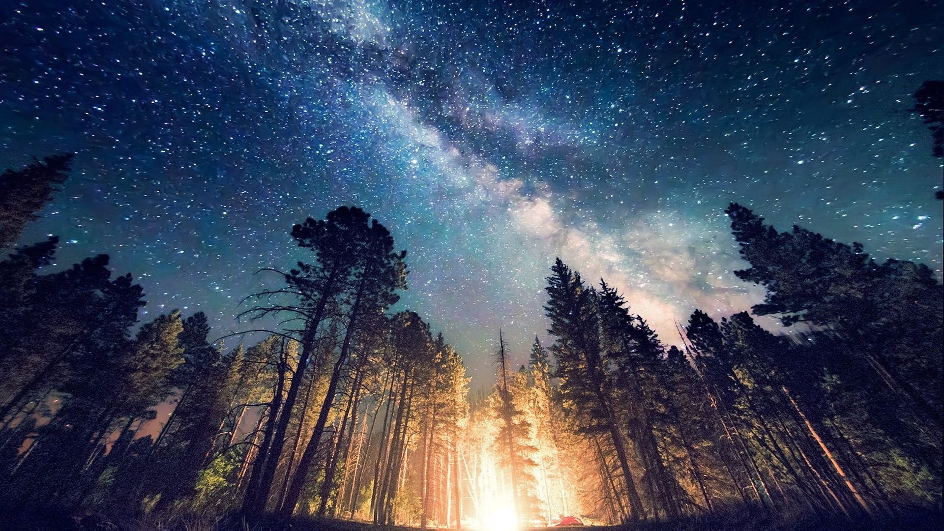 Звук летней ночи. Красивые ночные пейзажи. Природа ночью. Природа космос. Звезды над лесом.