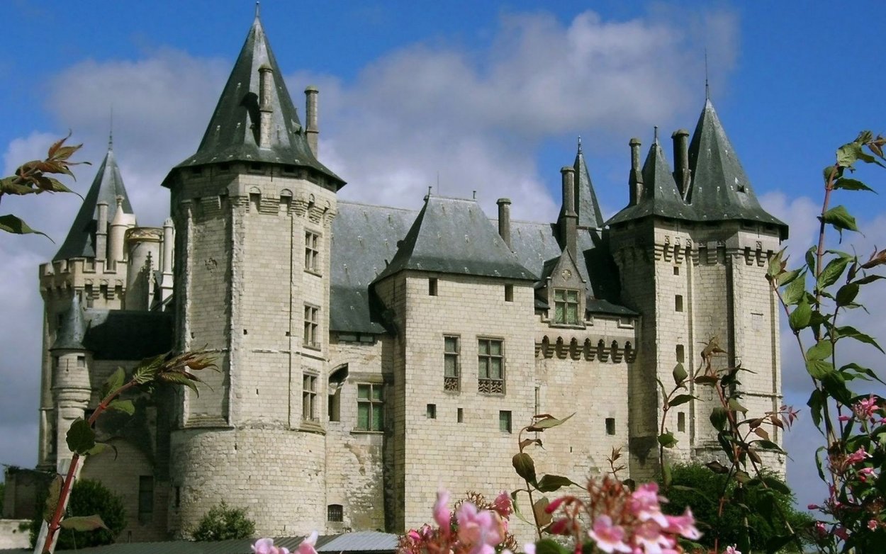 Самые красивые замки франции