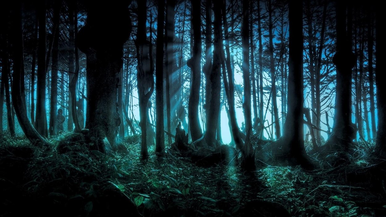 Темные чащи лесов загадочны и прекрасны