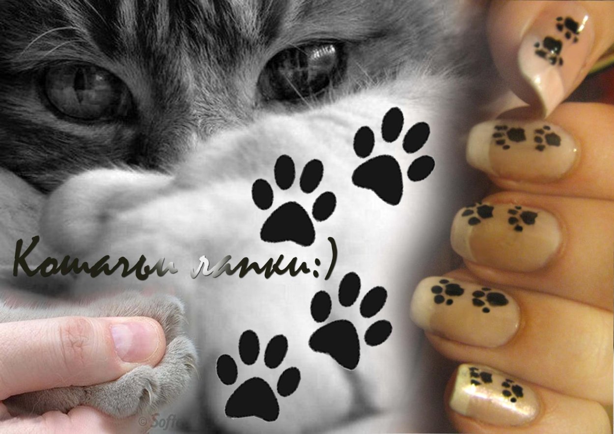 Красивые ногти с кошками