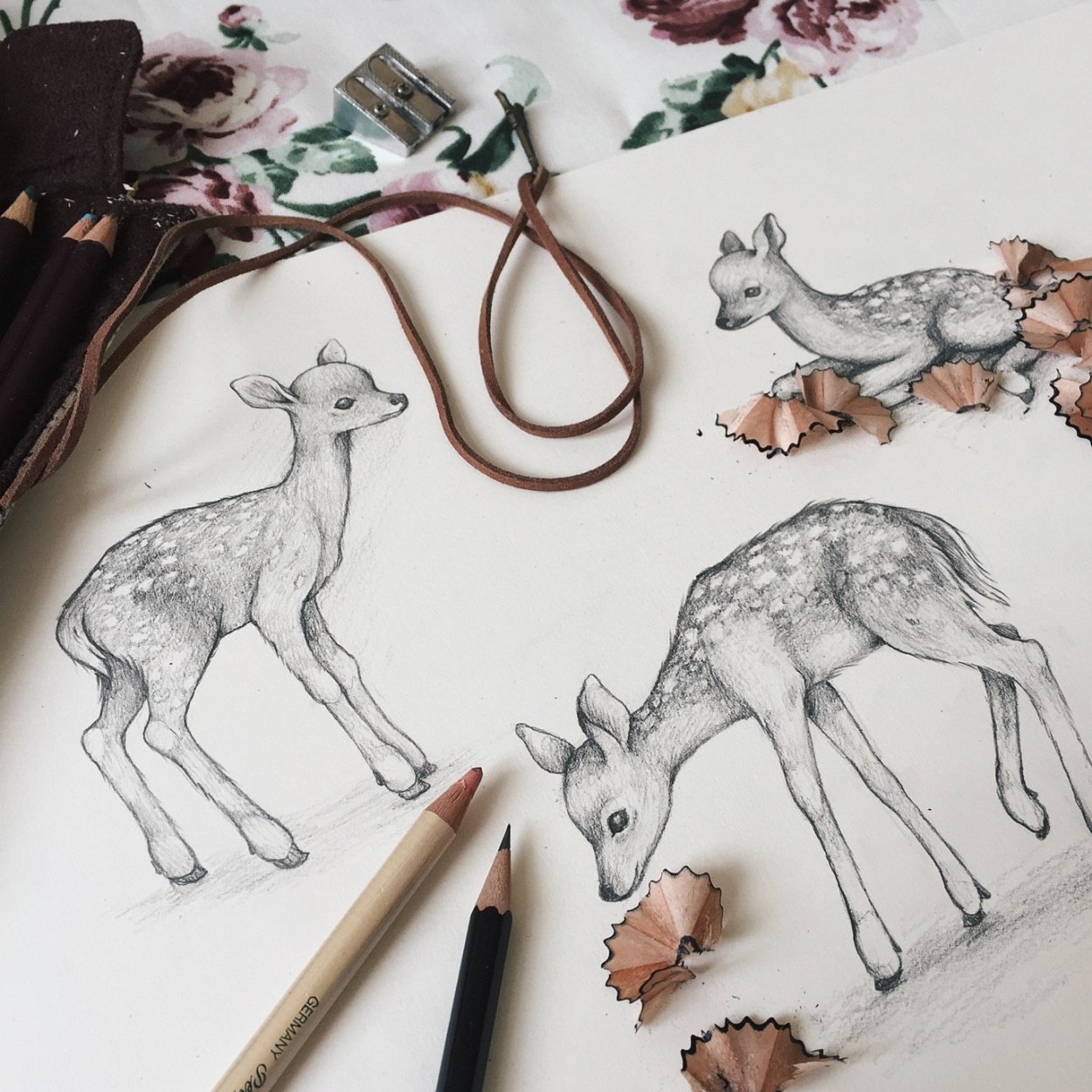 Красивые рисунки для срисовки животные