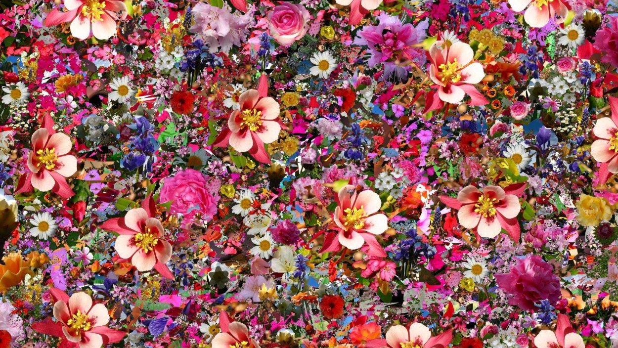 Мелкие разноцветные цветы