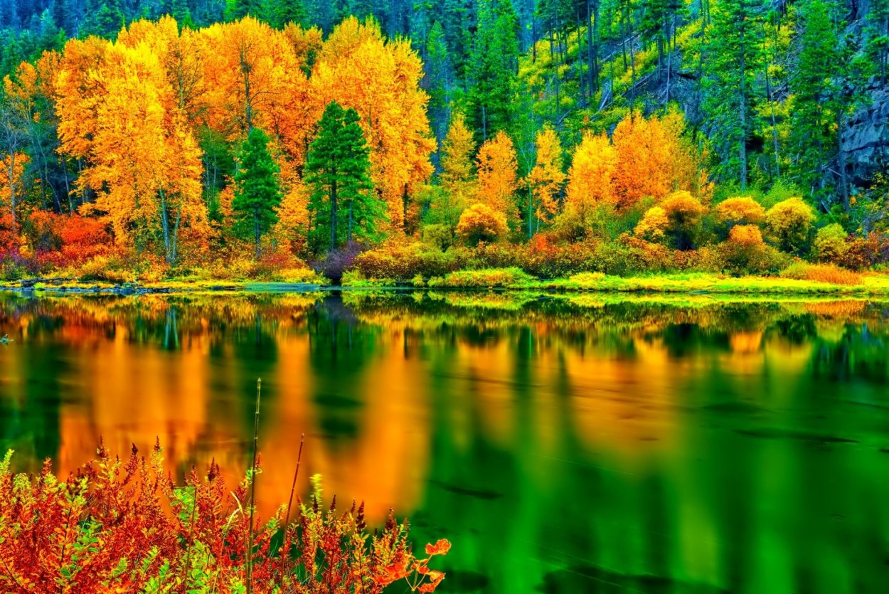 Осень красивая природа