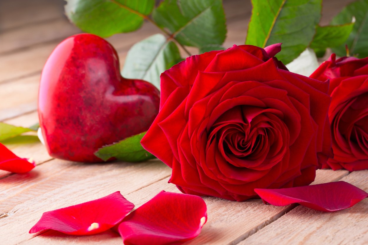 Красивое сердце из роз