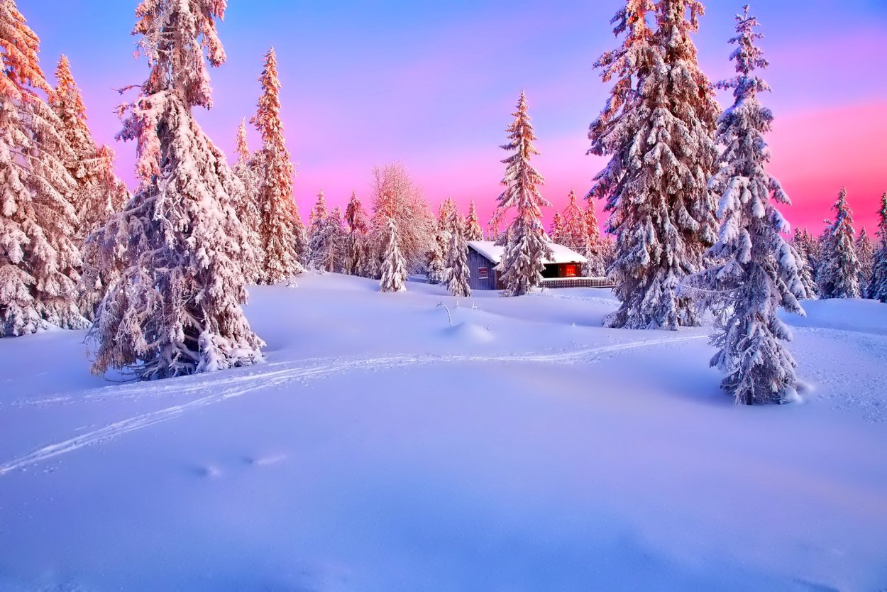 Красивый зимний лес пейзаж