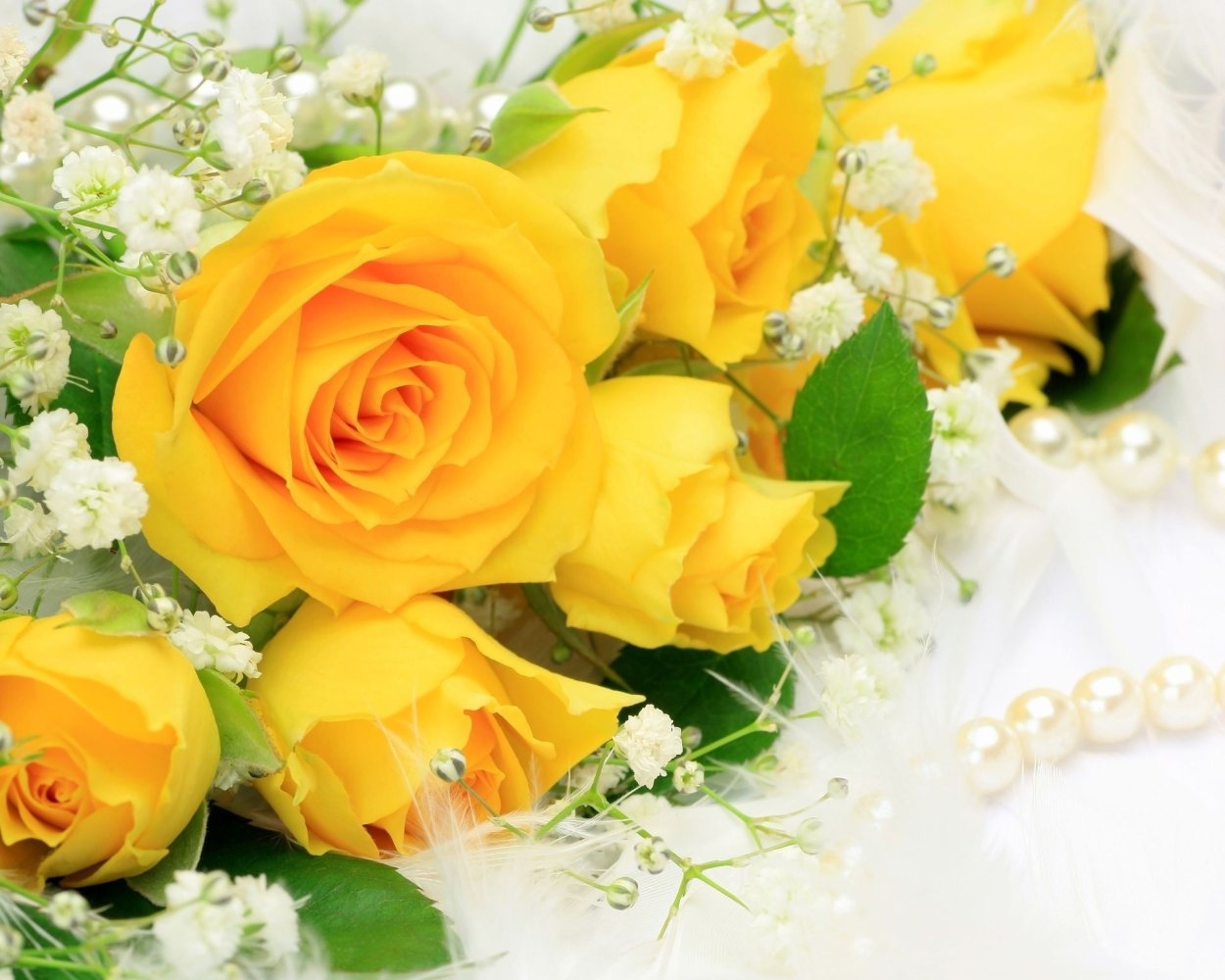 Самые красивые желтые розы