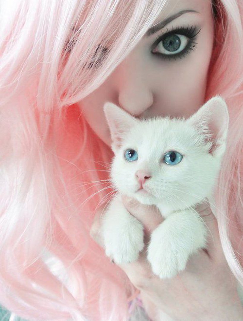 Классные милашки. Красивые фоточки на аватарку. Милая киса. Девушка кошечка. Красивая девушка с котиком.