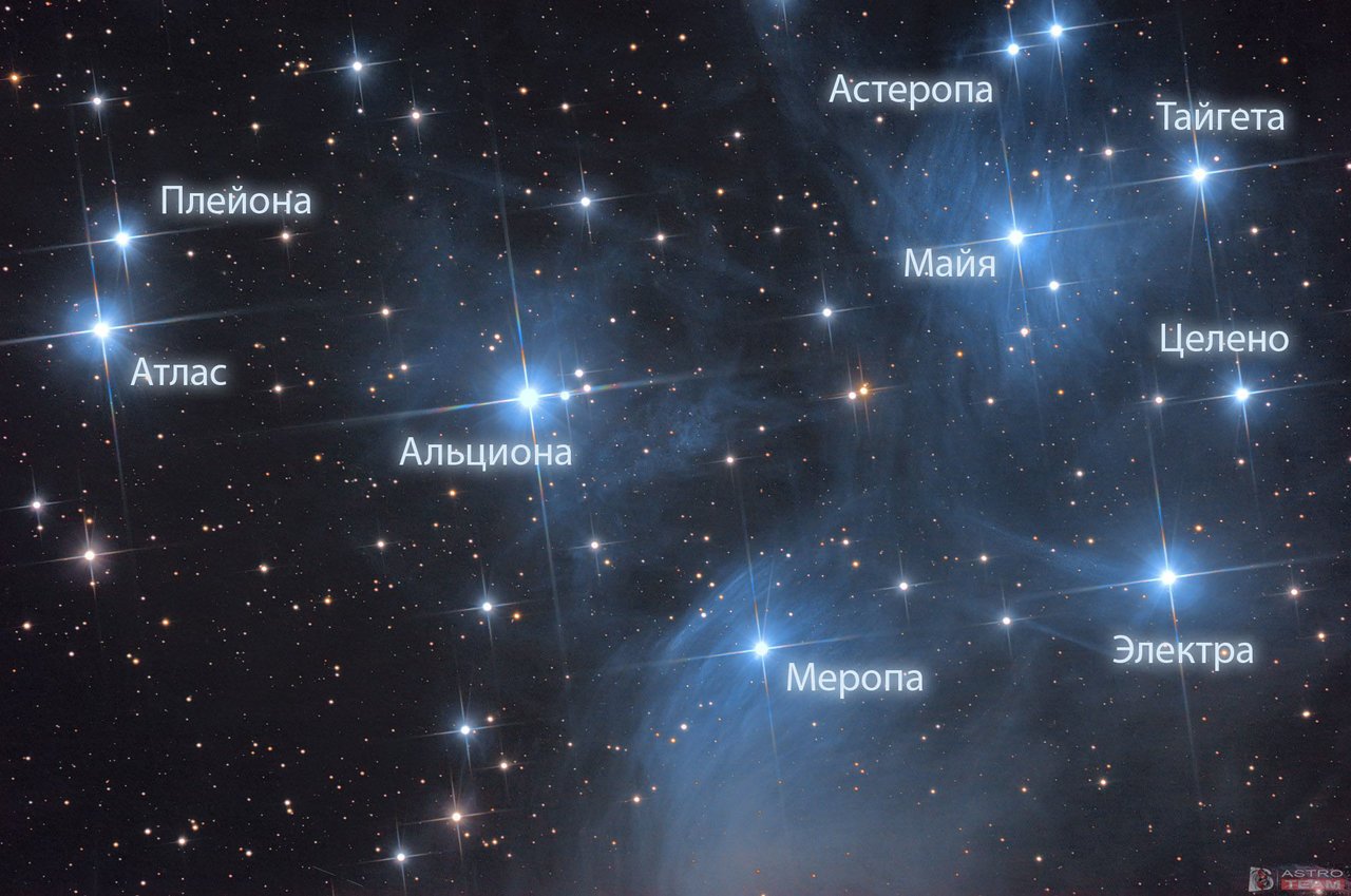 Какие звезды встречаются. Звезда Альциона созвездия Плеяд. Альциона в созвездии тельца. Плеяды на карте звездного неба. Семь сестер созвездия Плеяд.