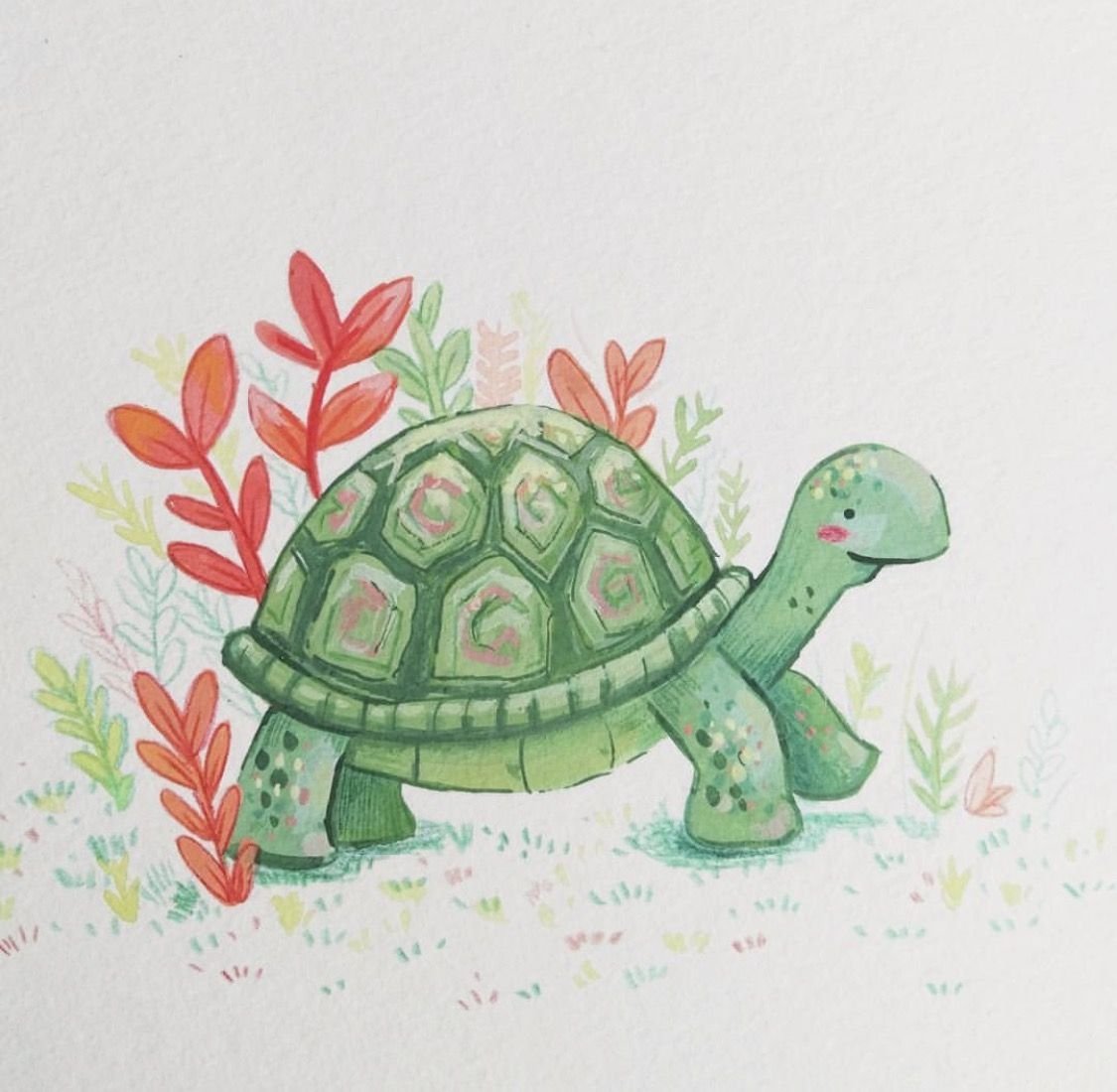 Рисунки черепахи для срисовки