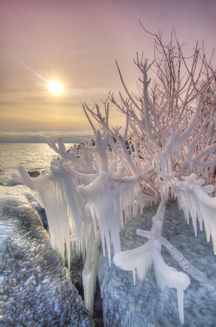 Чудеса зимней природы. Чудеса зимы. Необычные зимние пейзажи. Зимнее чудо. Зима вдохновение