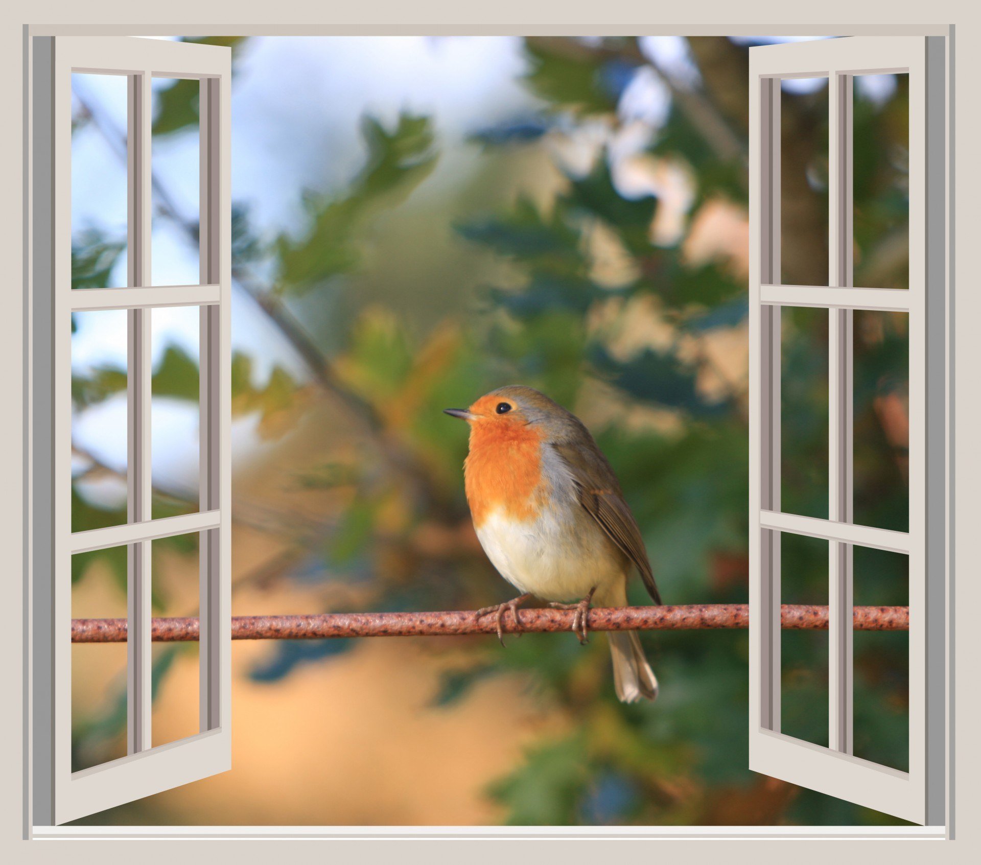 Птичка садится на окошко. Птичка на подоконнике. Птицы на окна. Птички за окном.