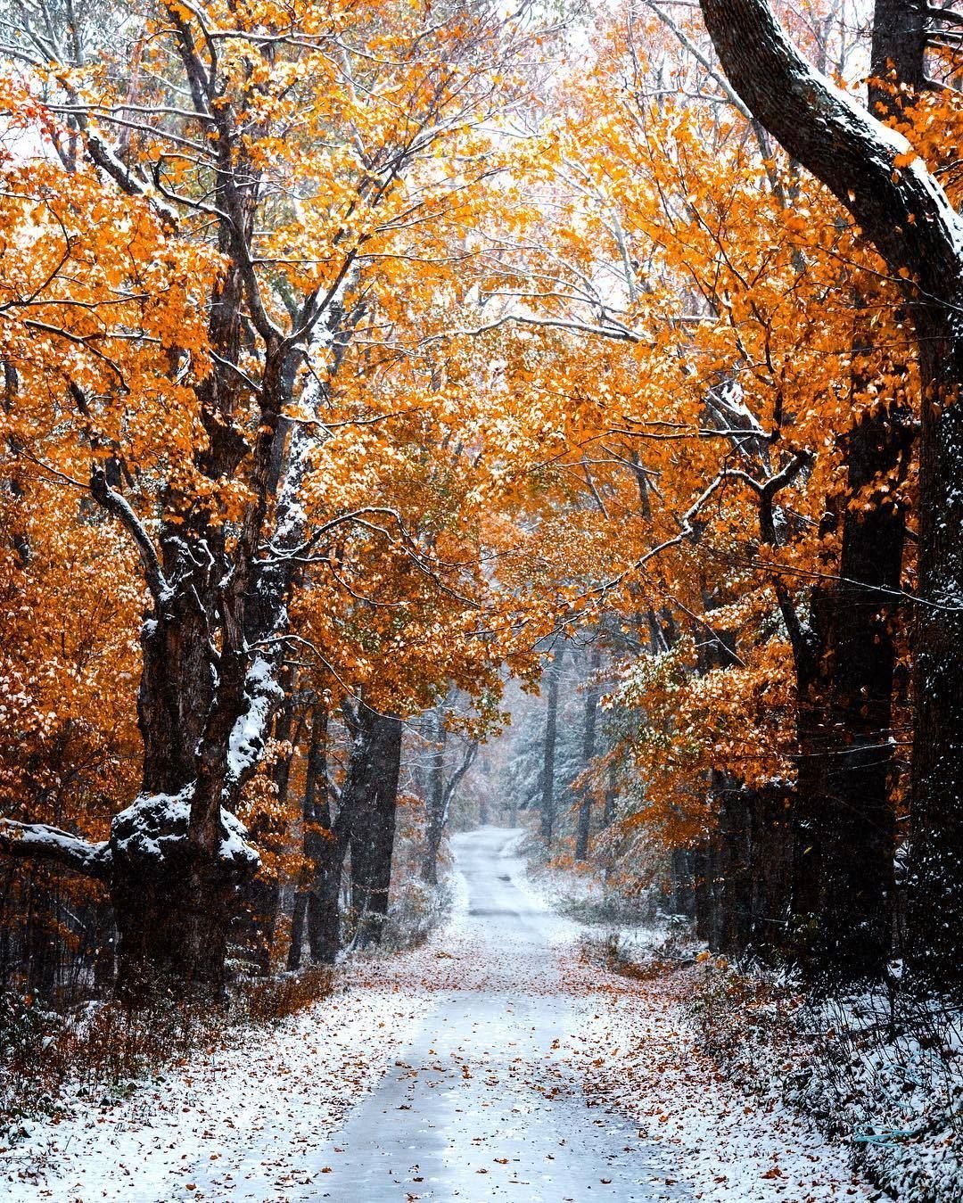 Картинки осень ноябрь. Осень зима. Поздняя осень. Ноябрь природа. Снежная осень.