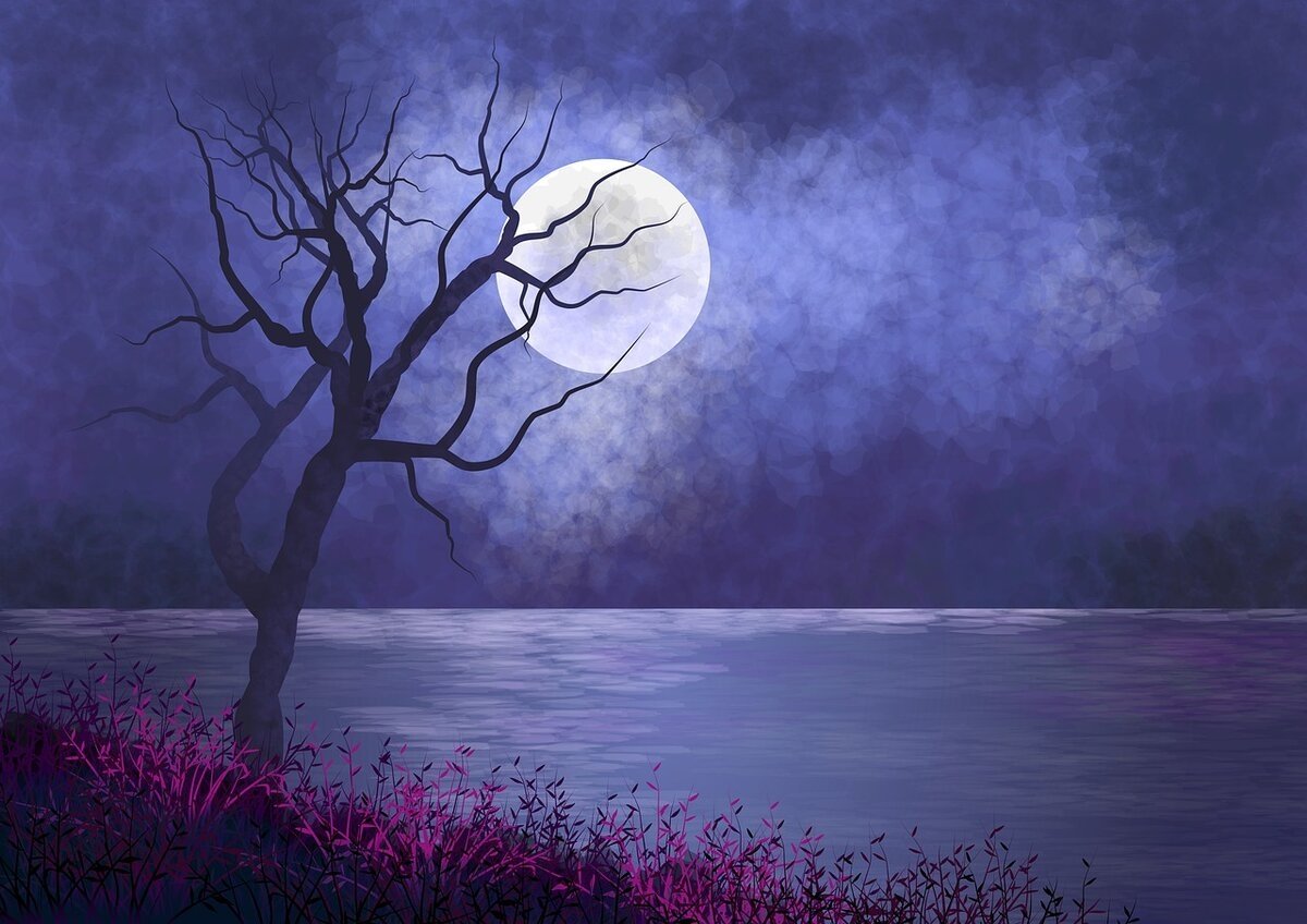 Пейзаж Лунная ночь