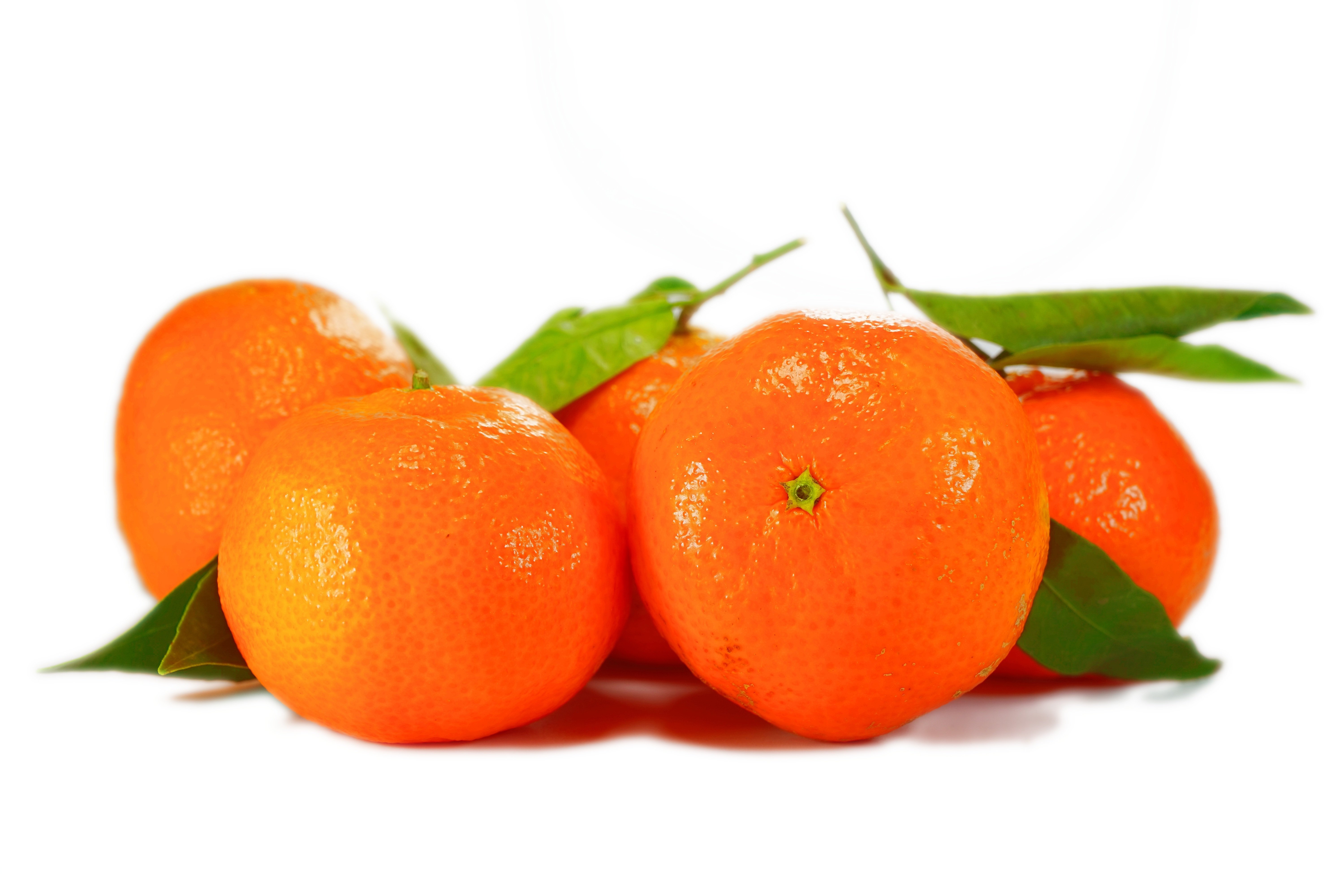 Мандарин фрукт витамины. Клементин мандарин Танжерин. Мандарин оранжевый Клементин. Мандарины Муркотт.