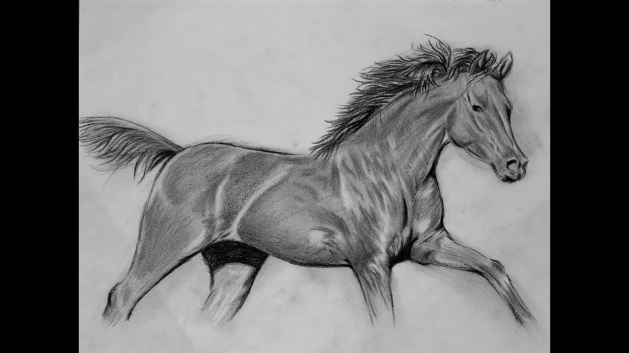 Быстрый красивый рисунок. Рисунки карандашом животные. Лошадь рисунок. Живые рисунки карандашом. Лошадь рисунок карандашом.