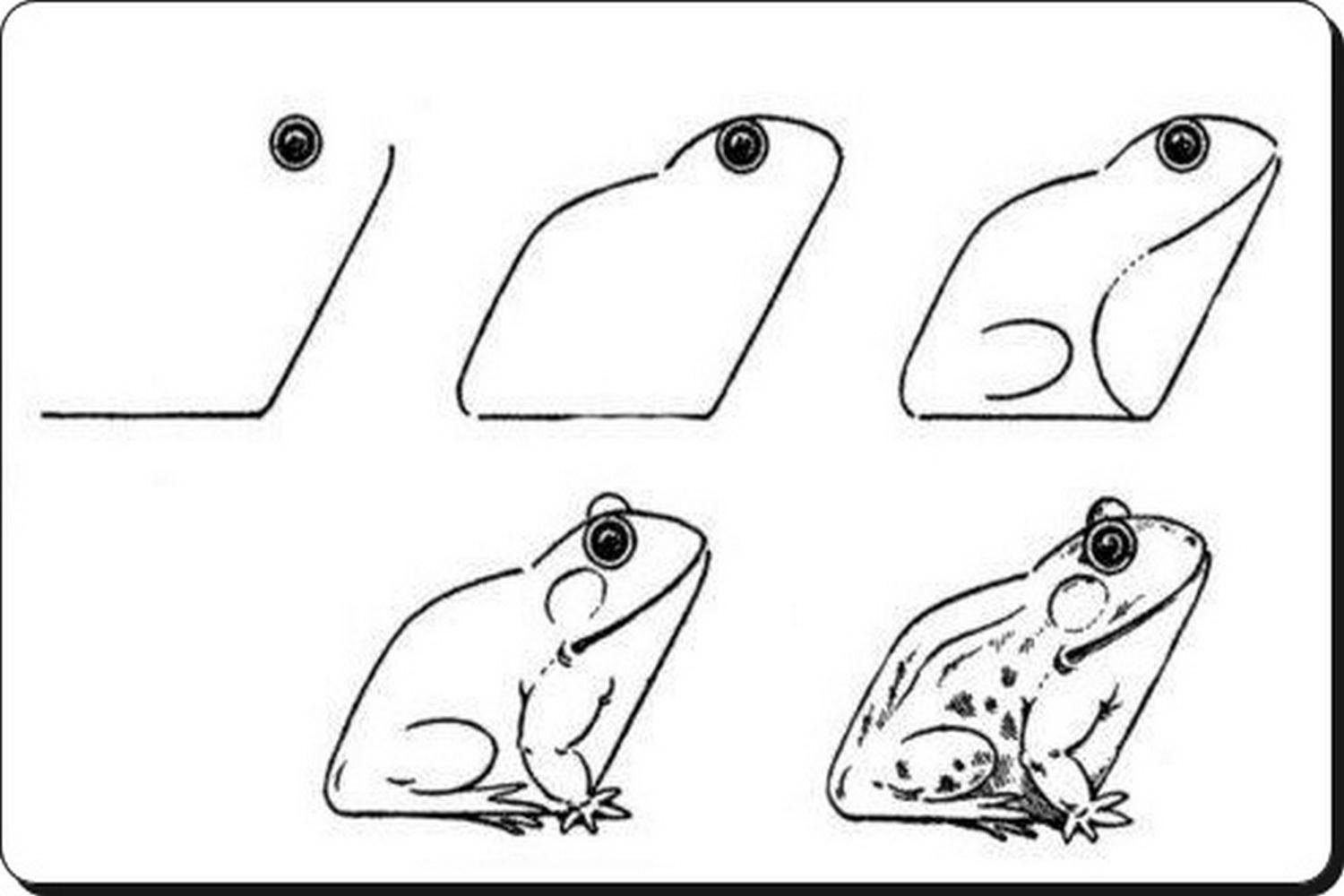 Легкие лягушки. Как нарисовать жабу. Как рисовать лягушку. Поэтапное рисование лягушки. Поэтапный рисунок лягушки.