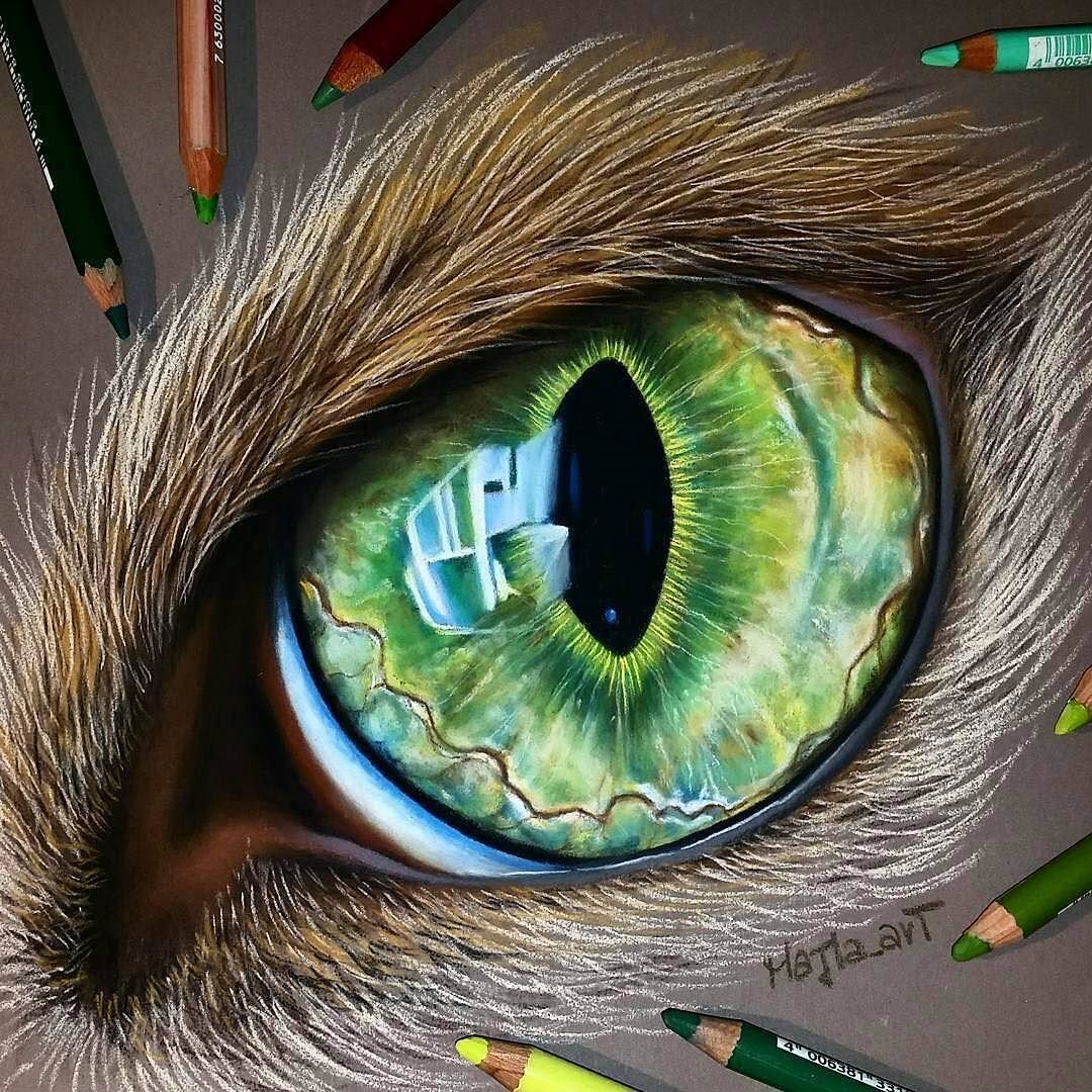 Глаза кошки рисунок