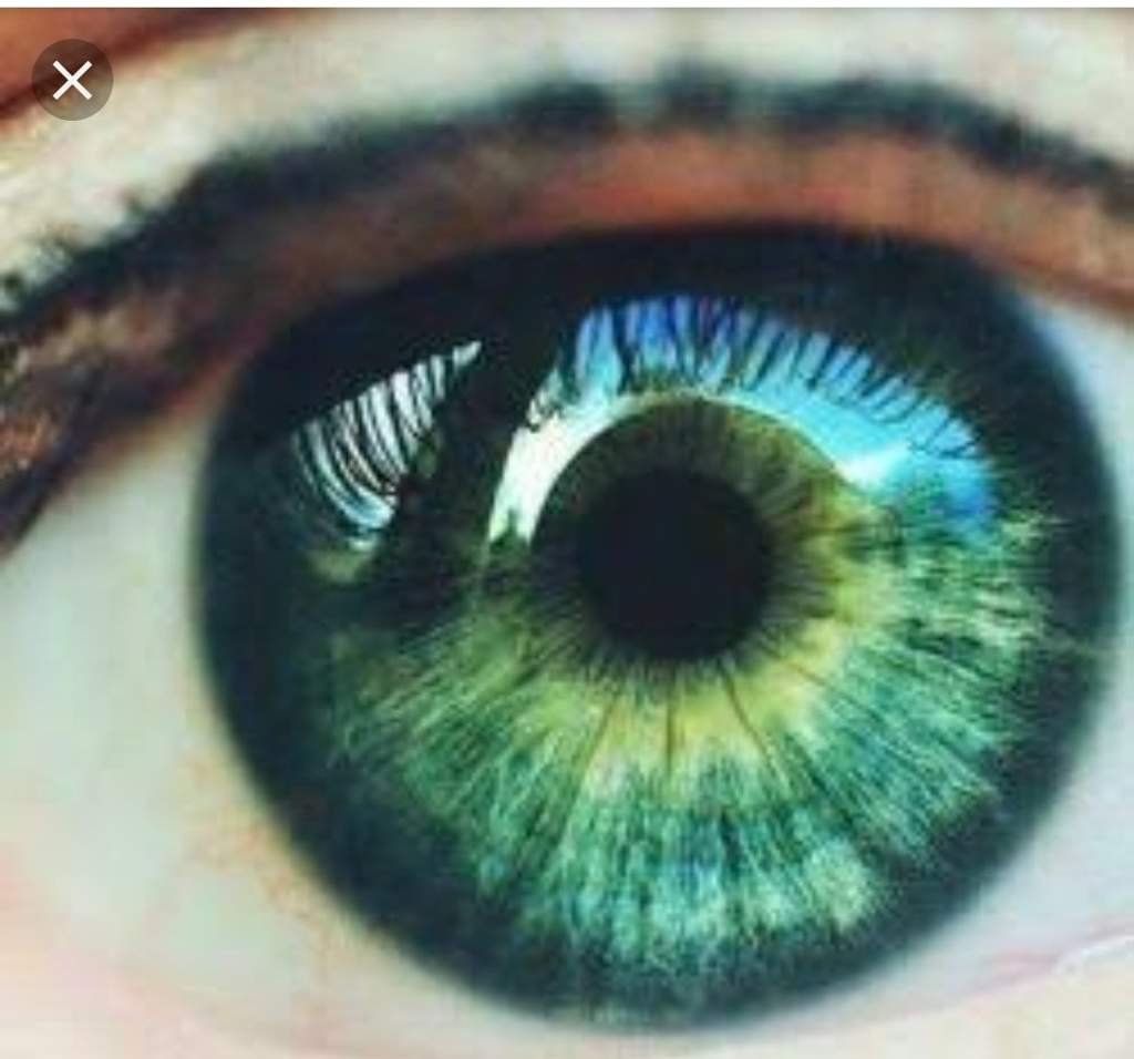 Зеленые глаза на свету. Изумрудно зеленые глаза. Зелёно-голубые глаза. Изумрудный цвет глаз. Изумрудно зеленый цвет глаз.