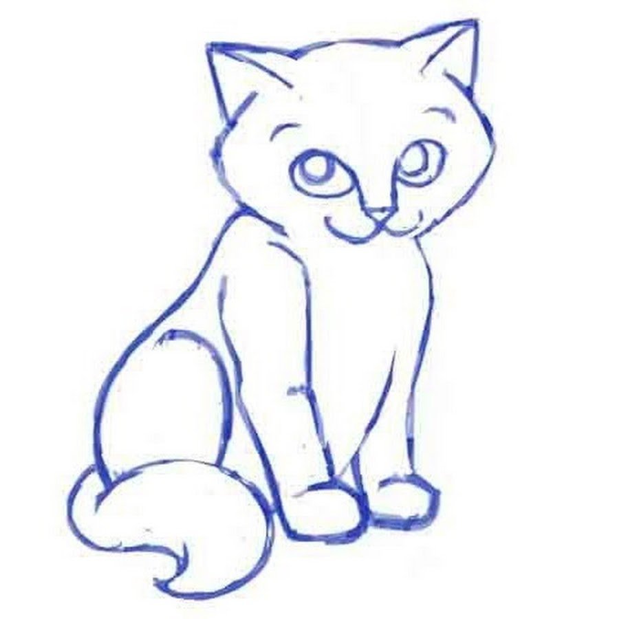 Рисунки для срисовки для начинающих кошки