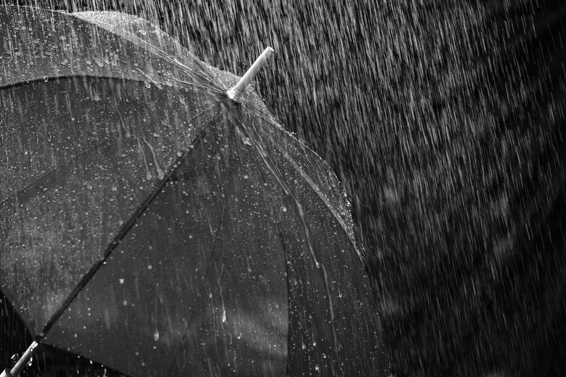 Сон стать дождем. Ливень. Изображение дождя. Дождь зонт. Сильный дождь.