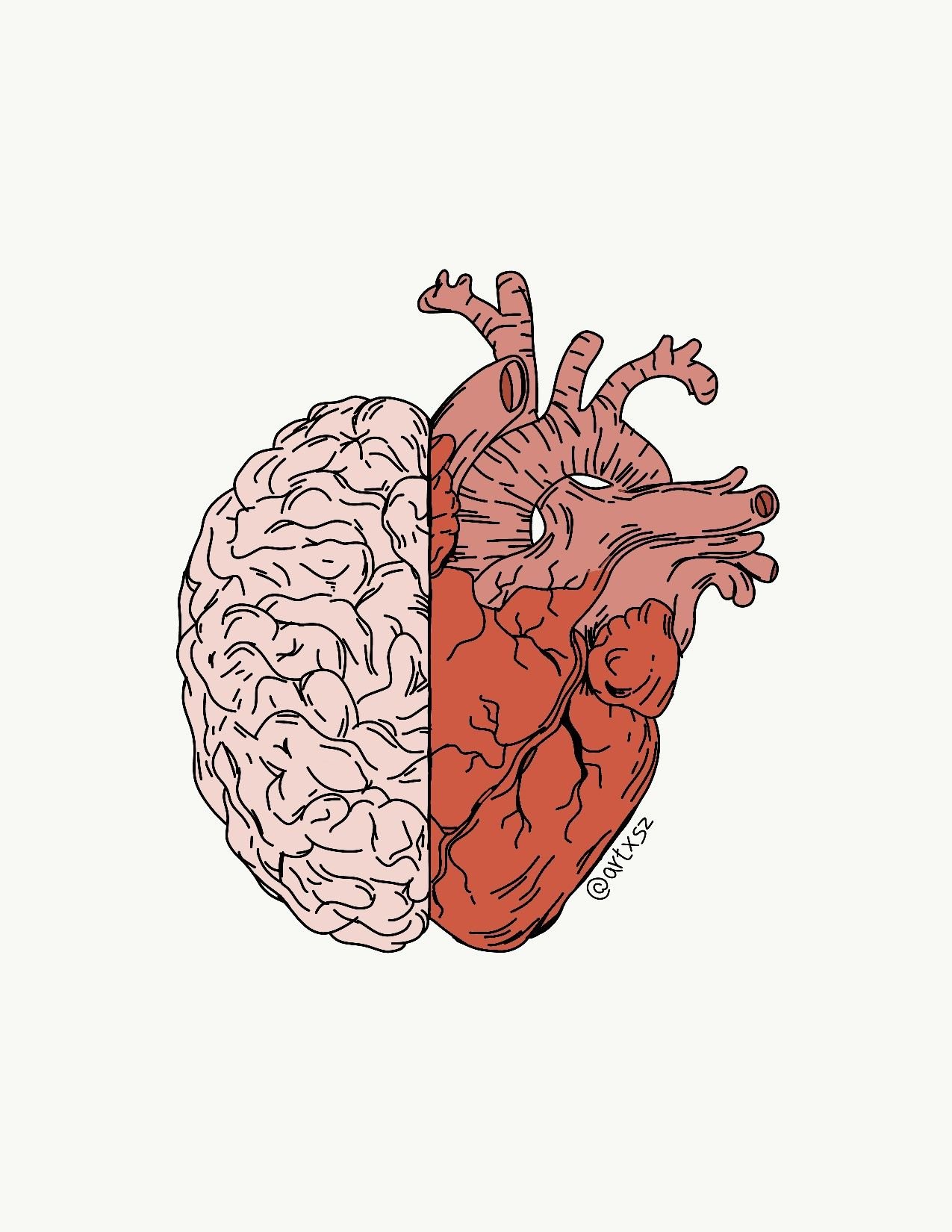 У сердца есть мозг. Мозг и сердце. Мозг нарисованный. Мозг человека арт. Мозг и сердце вместе.