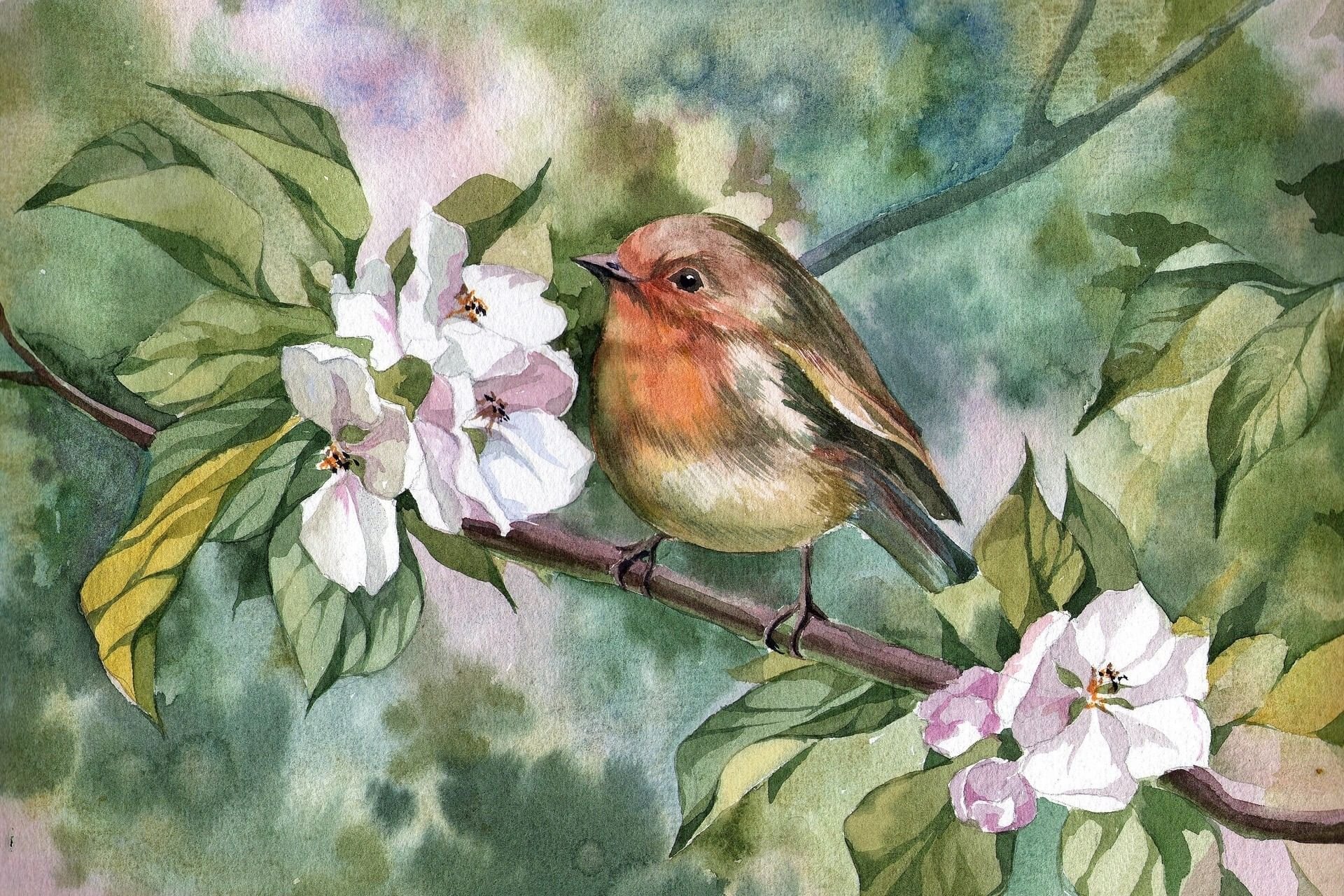 Весенние птицы рисунок. Сьюзен Бордет Воробей. Птицы в живописи картины. Птица на ветке.
