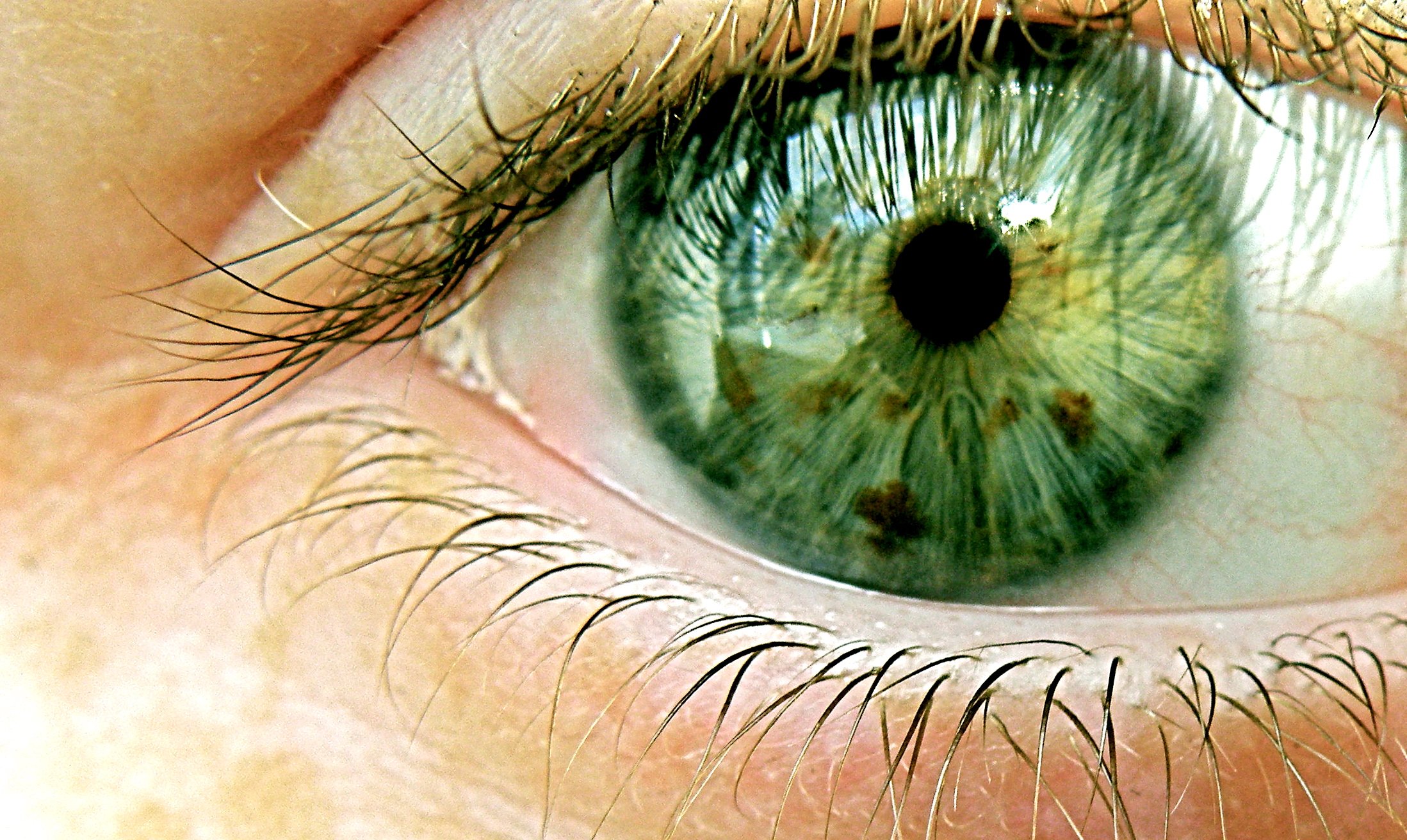 He got green eyes. Чисто зеленый цвет глаз. Изумрудно зеленый цвет глаз. Желто зеленые глаза. Зелено карие глаза.
