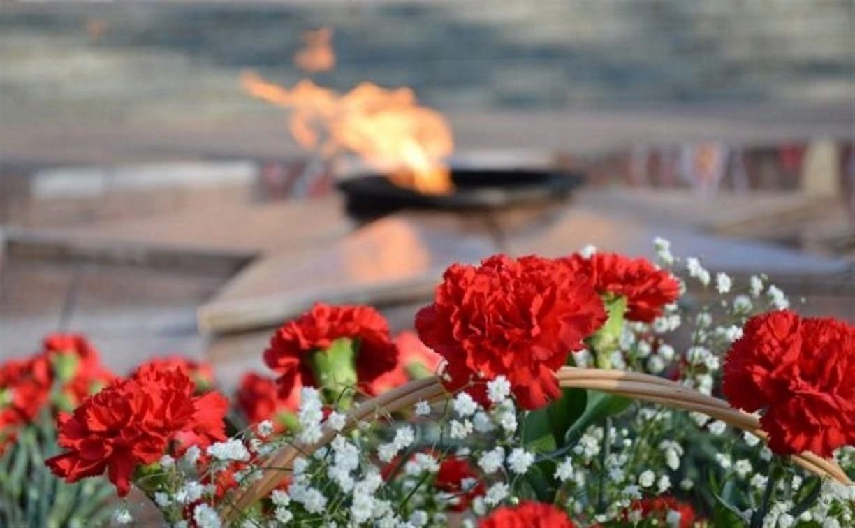 Цветы в честь памяти. Красные гвоздики. Гвоздики на мемориале. Гвоздики у вечного огня. Гвоздики 9 мая.