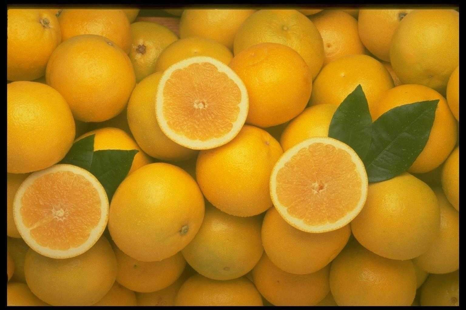 День апельсинов и лимонов картинки. Желтый фрукт. Желтый апельсин. Желтый цитрусовый фрукт. Сладкий апельсин.