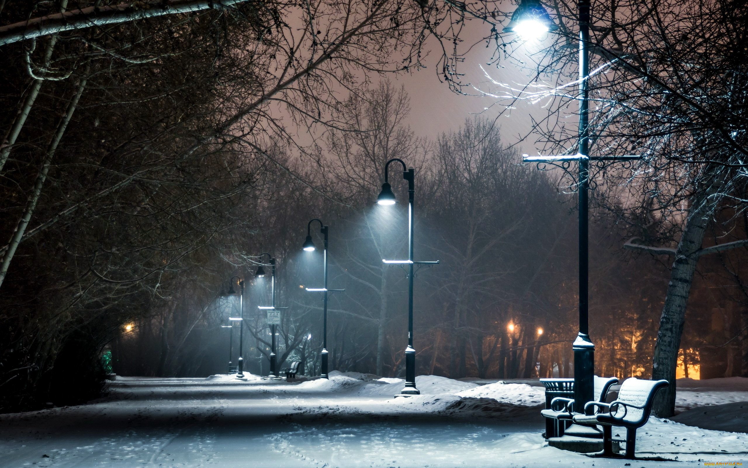 Вечер улица фонарь. Ночной зимний парк. Снежный парк фонарь. Зима ночь город снегопад. Фонари в парке зимой.