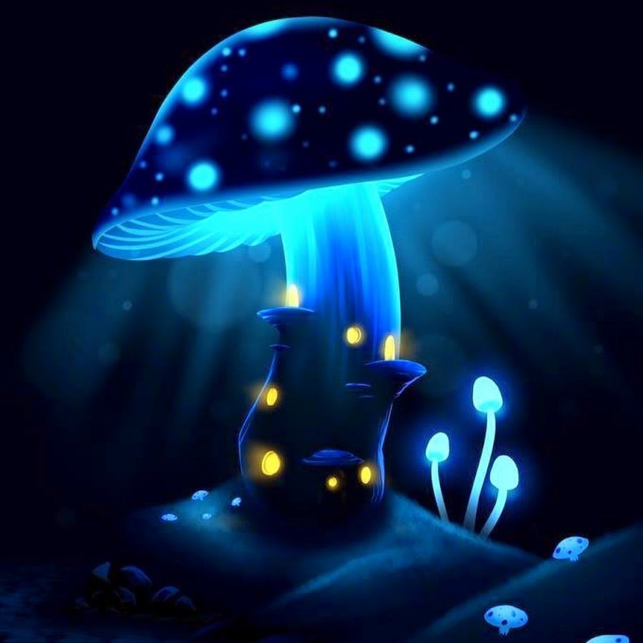 волшебные грибы картинки