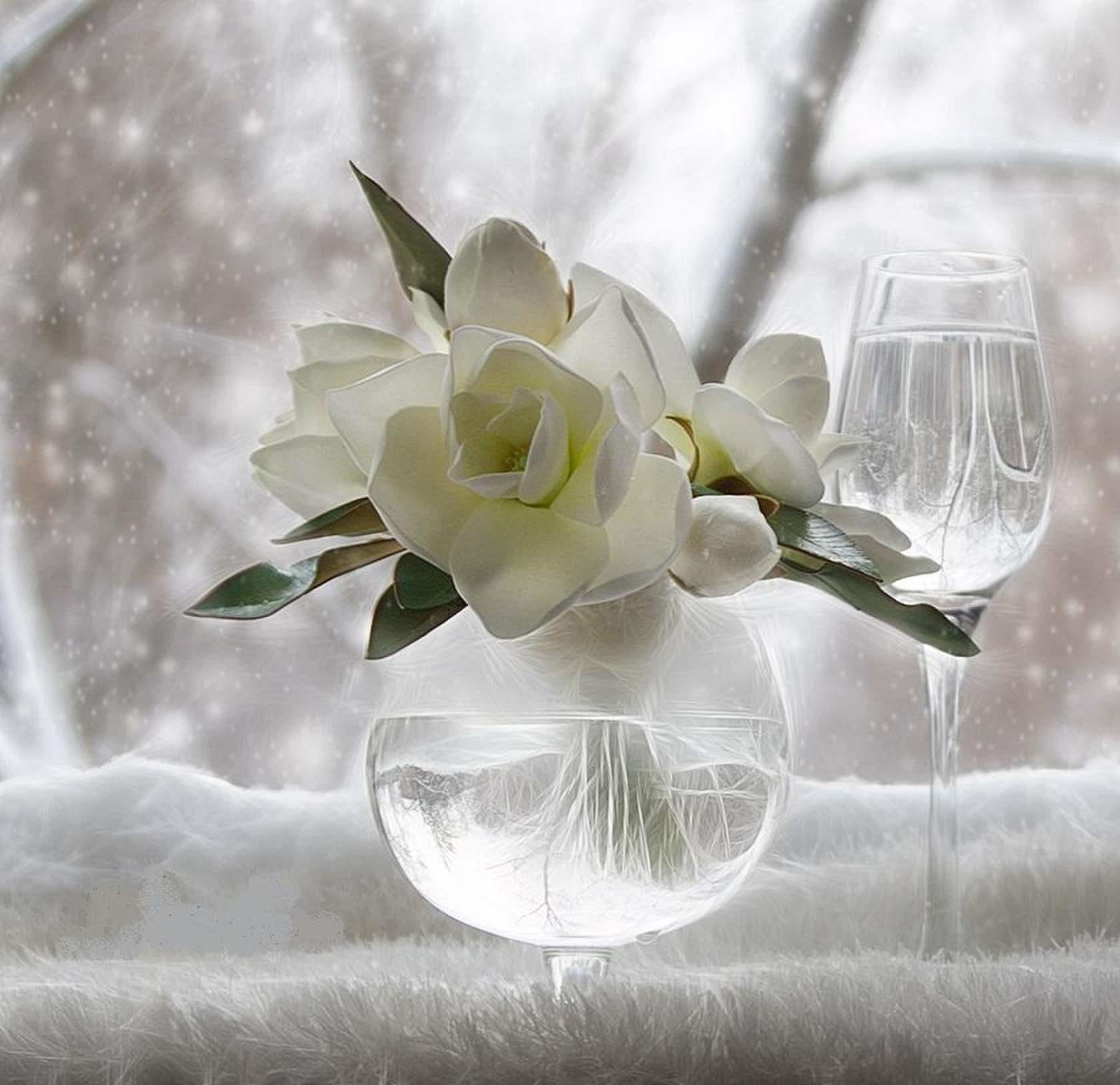 Светлое нежное доброе. Натюрморт с белыми цветами. Белый натюрморт. Цветы в вазе. Цветы в прозрачной вазе.