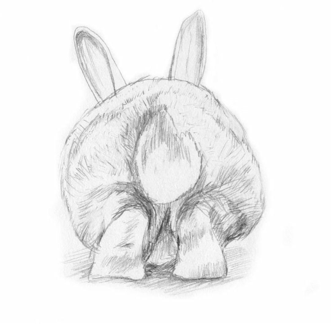 Мордочка кролика карандашом