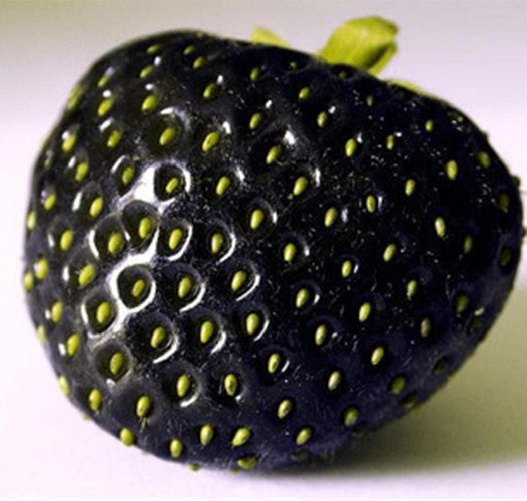 Фрукт с черными точками название. Необычные фрукты. Необычные экзотические фрукты. Редкие экзотические фрукты. Странные ягоды.