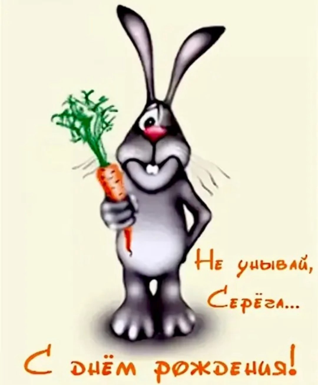 День зайца. С днем рождения заяц. Поздравления с днём рождения Сергею прикольные. Заяц поздравляет с днем рождения. С днём рождения серёжа поздравления прикольные.