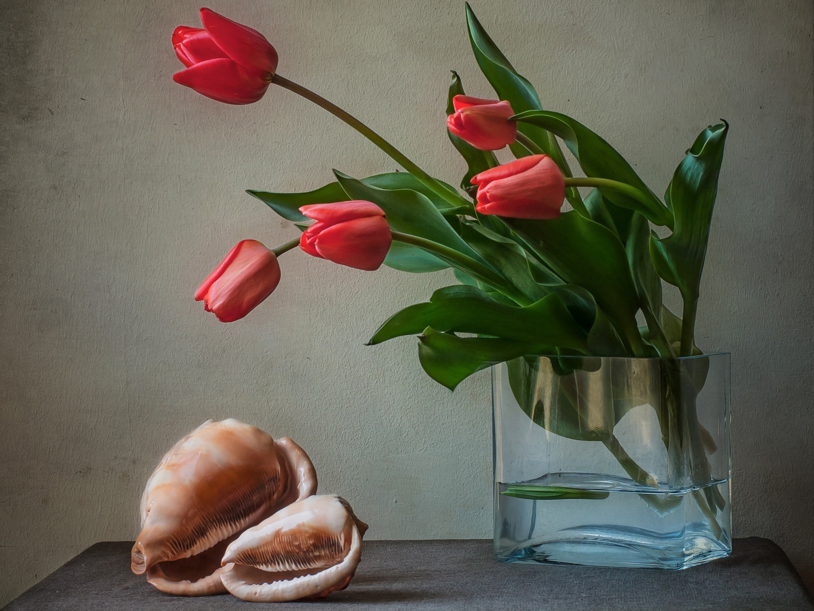 Почему упали тюльпаны в вазе