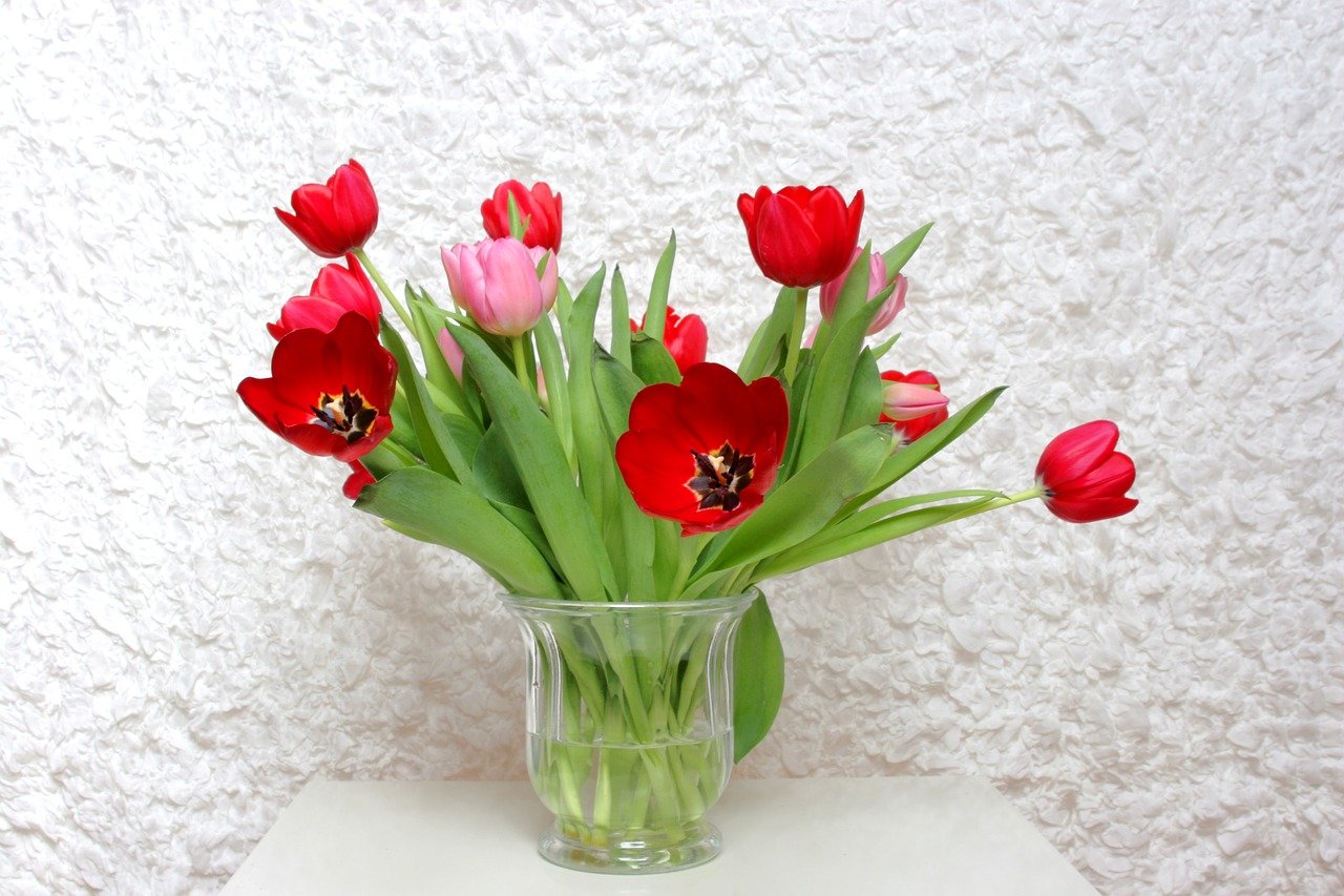 Какая вода для тюльпанов в вазе. Тюльпаны в вазе. Букет тюльпанов в вазе. Красные тюльпаны в вазе. Крссныетюльпаны в вазе.