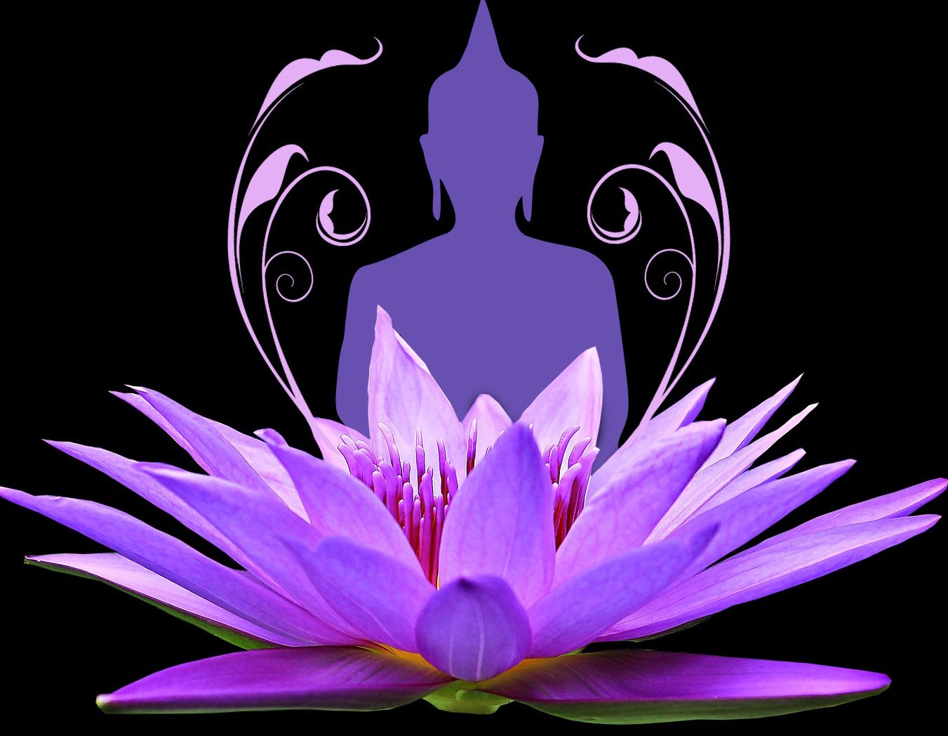 Цветок йогов. Лотос рисунок. Лотос символ совершенства. Лотос эзотерика. Цветок лотоса буддизм.