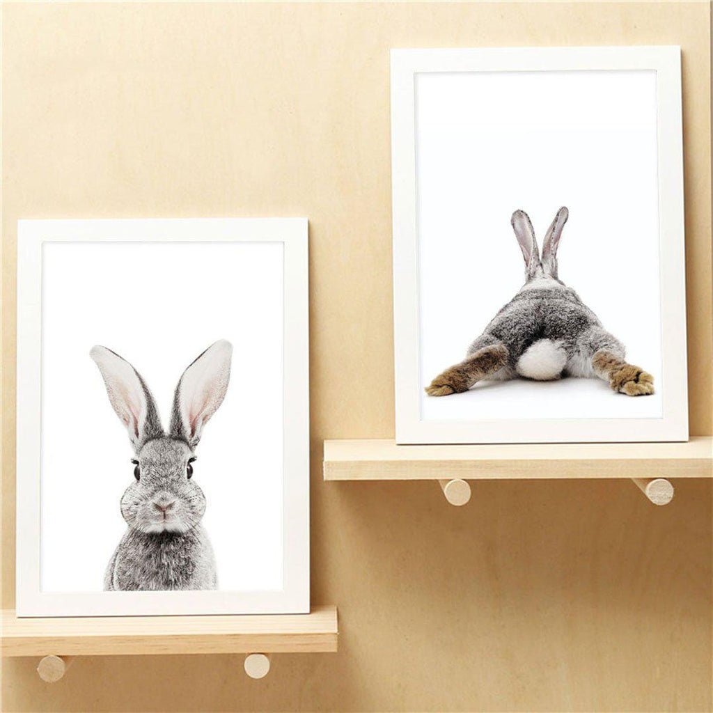 Постер кролик