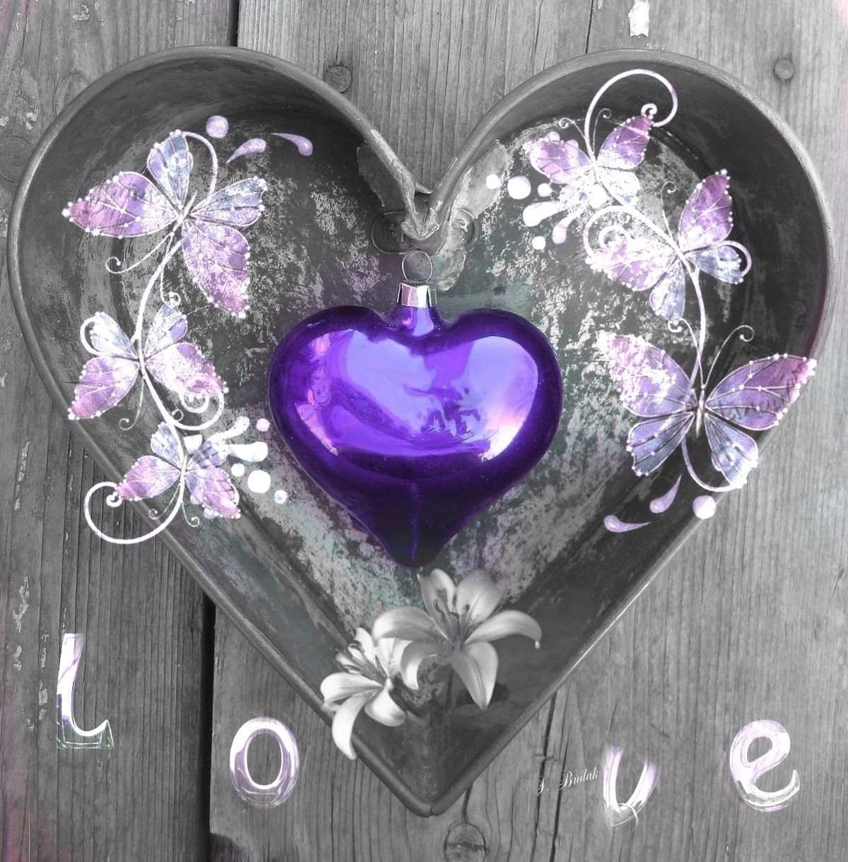 Фиолетовый цвет сердечка. Сиреневое сердце. Сердце фиолетовое. Сиреневое сердечко. Фиолетовые сердечки.
