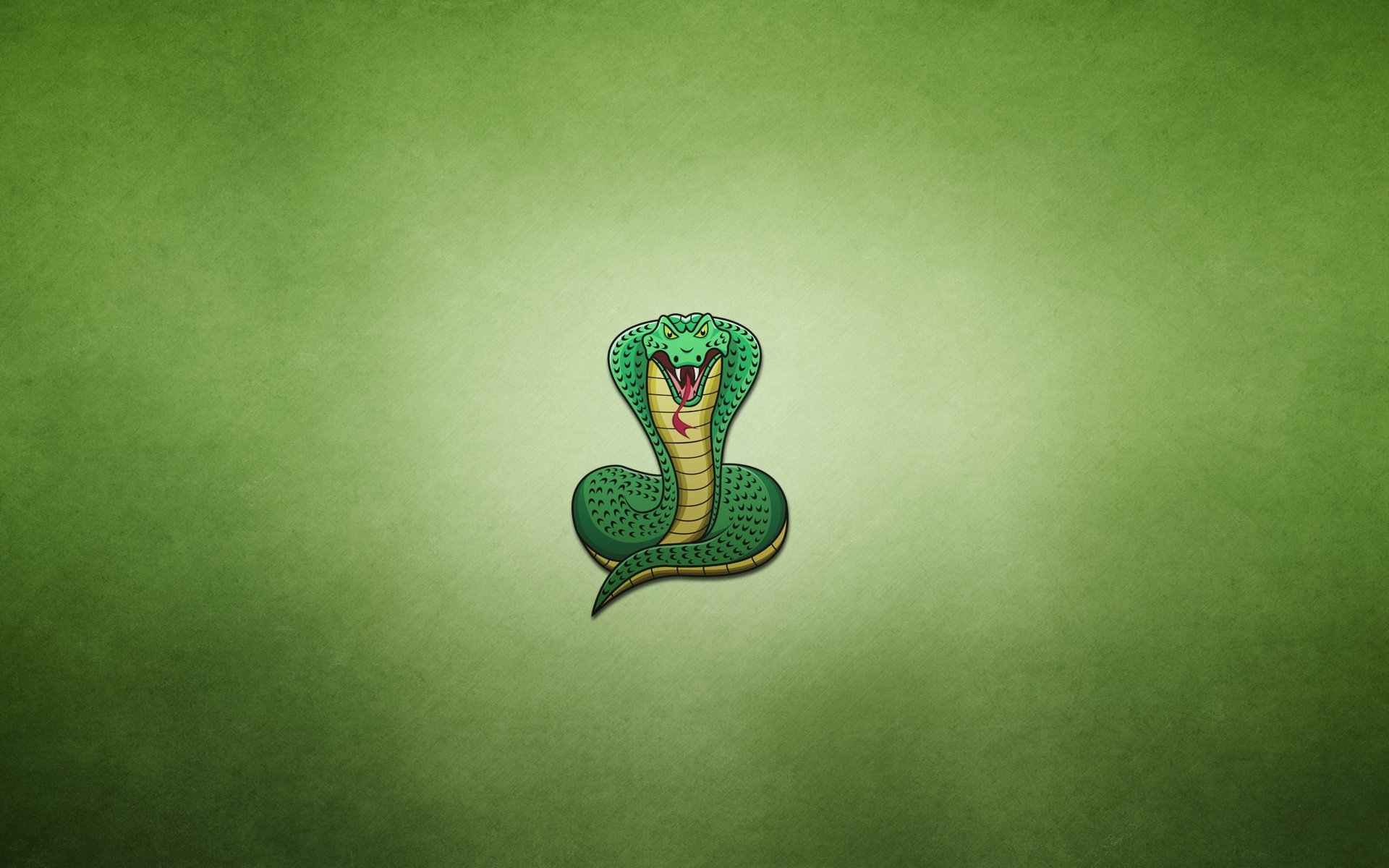 Змея на заставку телефона. Змеи Минимализм. Обои со змеями. Змея арт. Змея на зеленом фоне.