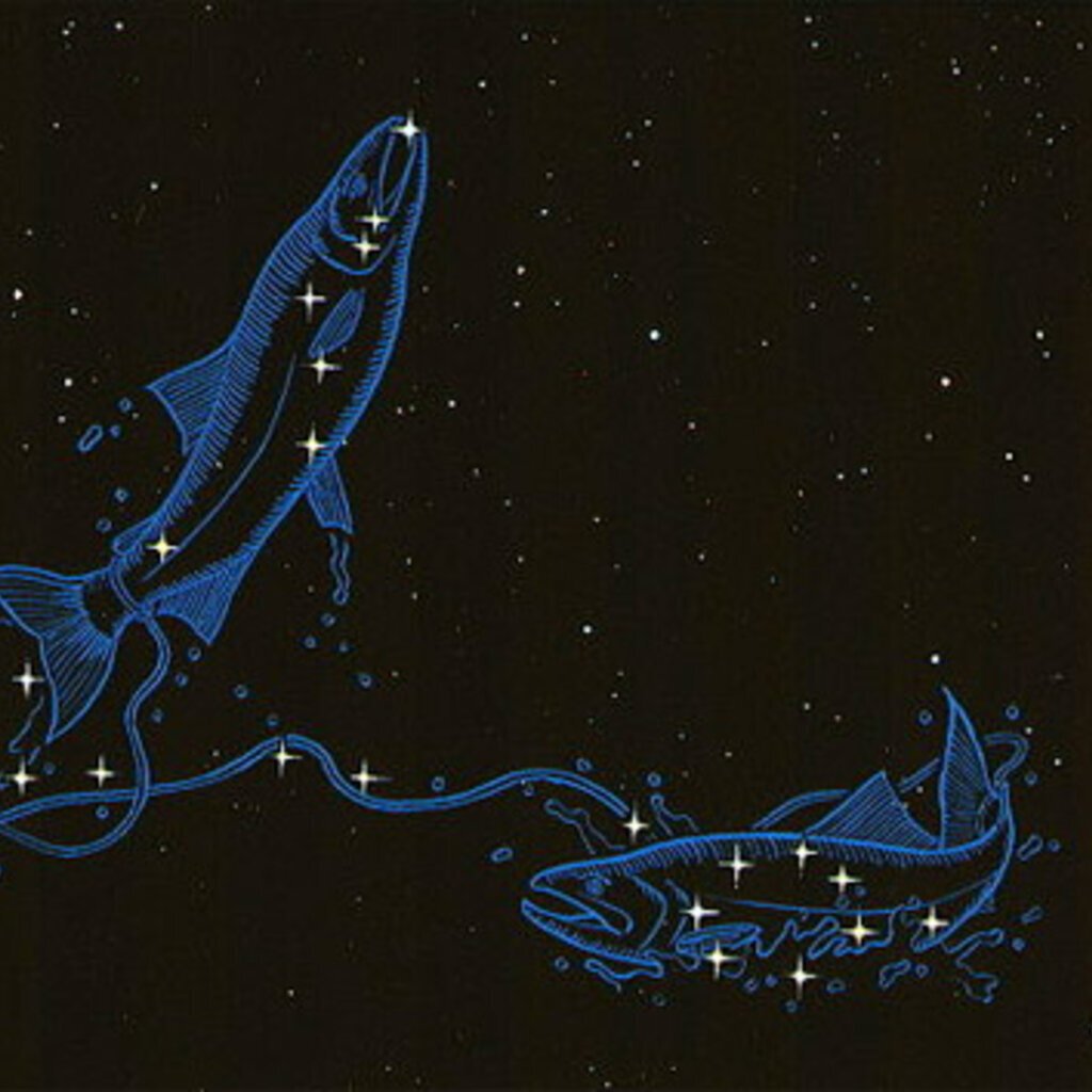 Созвездие фаворского. Астеризмы созвездия рыбы. Знак зодиака рыбы Созвездие. Зодиакальное Созвездие рыбы астрономия. Рыбы (Созвездие) звёзды созвездия рыб.