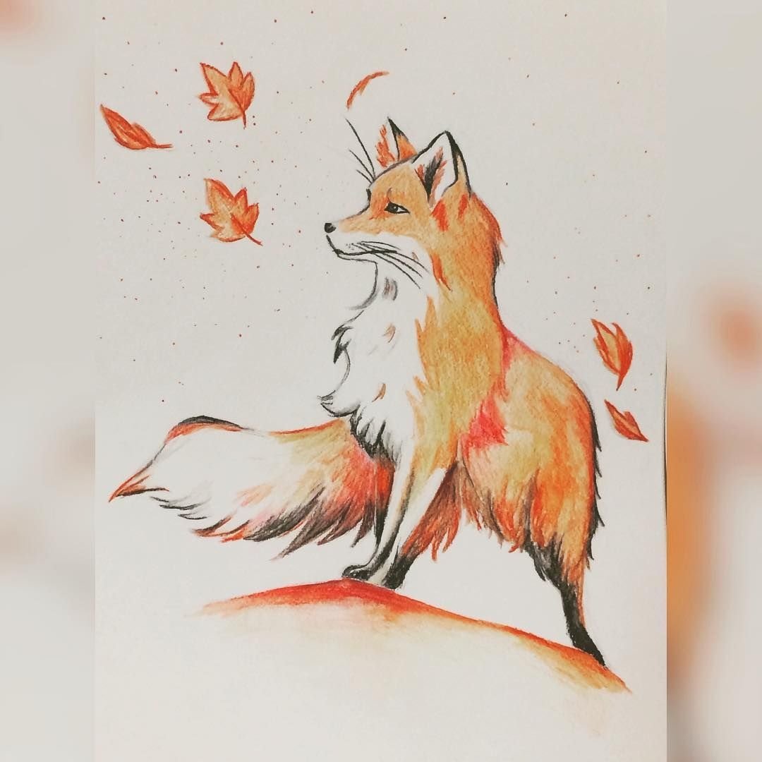 красивые картинки лисы нарисованные