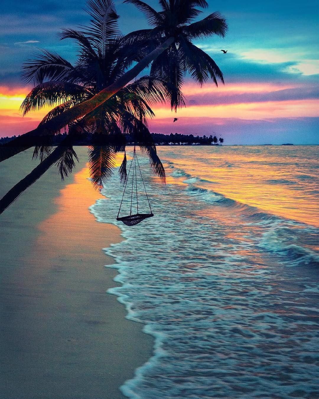Офигенно красивые. Шри Ланка море. Шри Ланка океан. Пальмы и океан. Шри Ланка рассвет.